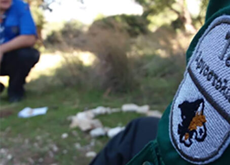 ΕΠΑΝΕΚΚΙΝΗΣΗ ΔΡΑΣΕΩΝ 1ου ΣΥΣΤΗΜΑΤΟΣ ΠΡΟΣΚΟΠΩΝ ΑΡΓΟΣΤΟΛΙΟΥ