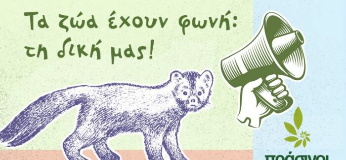 Τα ζώα έχουν φωνή: τη δική μας!