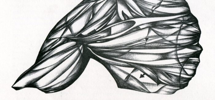 ΔΙΑΧΡΟΝΙΚΕΣ ΖΩΓΡΑΦΙΚΕΣ  ΜΕΛΕΤΕΣ ΚΑΙ ΣΥΛΛΗΨΕΙΣ ΣΩΜΑΤΟΓΡΑΦΙΩΝ / BODYGRAPHICS