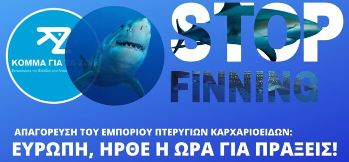 Απαγόρευση του εμπορίου πτερύγιων καρχαρία στην ΕΕ: δέκα ημέρες έμειναν για την υπογραφή σας