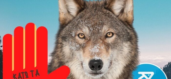 Κόμμα για τα Ζώα: Κάτω τα χέρια από τους λύκους και την άγρια ζωή!