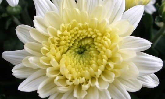 Greenpeace για το κλίμα: Άκου την επιστήμη, για να αποφύγουμε τα χειρότερα