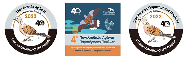 Αγωνιζόμαστε για ασφαλή μεταναστευτικά περάσματα για τα πουλιά!