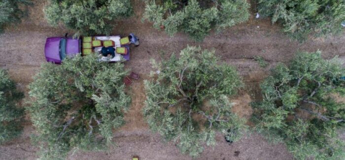 Αγρότες: Μείωση φόρου εισοδήματος 50% για τρία χρόνια