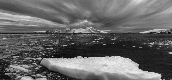 Έκθεσης “Φύση Πάσχουσα / Natura patiens”  & “Νέοι καλλιτέχνες & Κλιματική αλλαγή”.
