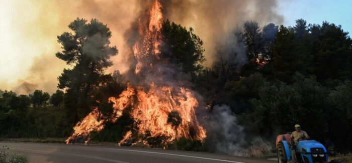 Πυρκαγιά σε δασική έκταση στα  Ζόλα