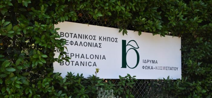 STEAM ΣΤΟΝ ΒΟΤΑΝΙΚΟ ΚΗΠΟ ΚΕΦΑΛΟΝΙΑΣ