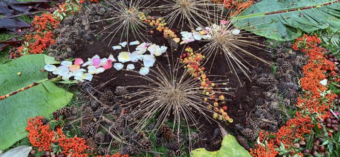 ΑΝΘΡΩΠΟΣ ΚΑΙ ΠΕΡΙΒΑΛΛΟΝ, Dr. Pierre Liechner