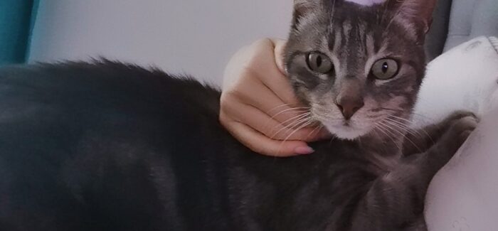 ΑΜΟΙΒΗ 1000 ΕΥΡΩ