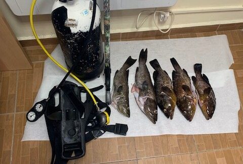 Διενεργούσε υποβρύχια αλιεία με ψαροντούφεκο.