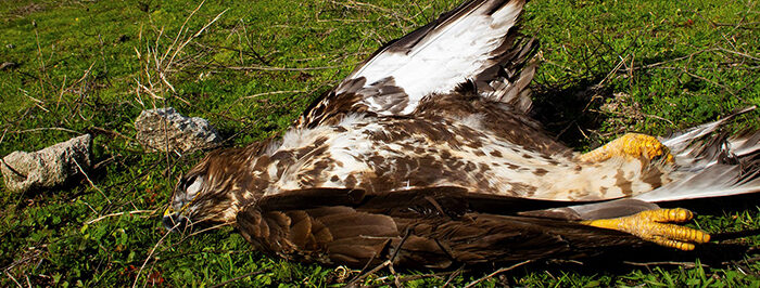 Τέσσερα Υπουργεία συνυπογράφουν τη νέα ΚΥΑ……..