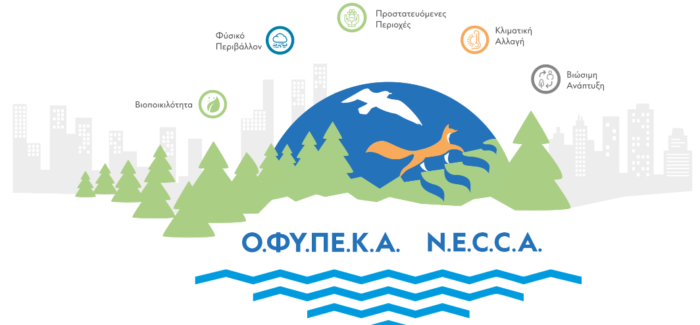Επιτυχής ολοκλήρωση της ημερίδας…..
