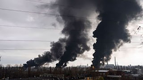 Κατσαρίδες με φτερά …