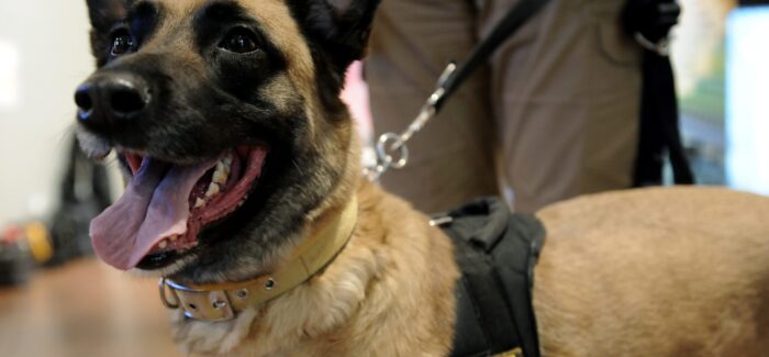 Οι ιδιοκτήτες κατοικίδιων ζώων να μεριμνούν για την περισυλλογή των περιττωμάτων τους.