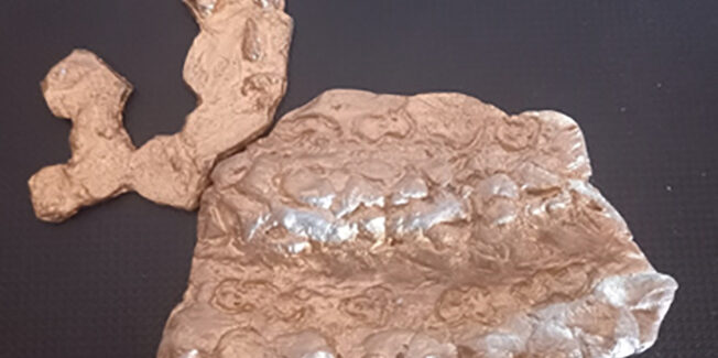 Πρόταση για  αναβάθμιση και  λειτουργία του ΕΠΑΛ