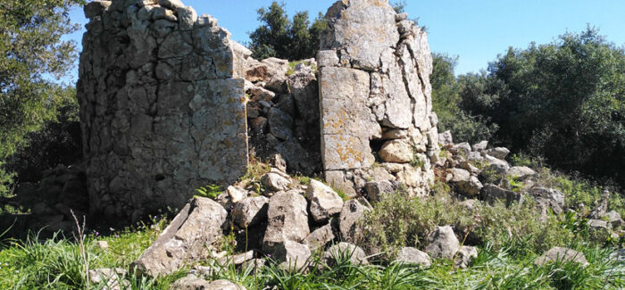 Κάλεσμα για Περιβαλλοντική Δράση: