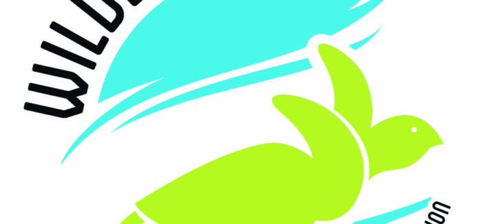 Οι θαλάσσιες χελώνες χρειάζονται τη βοήθεια μας