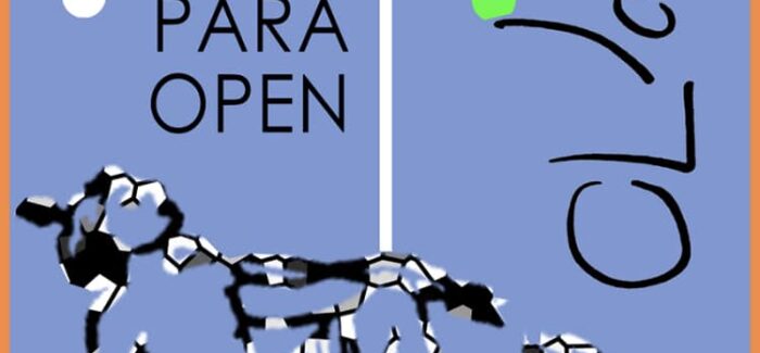 Το πρώτο  παγκόσμιο σεμινάριο classification…..