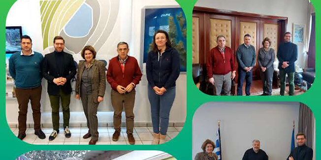 Το Πράσινο & Μωβ στην Κεφαλονιά