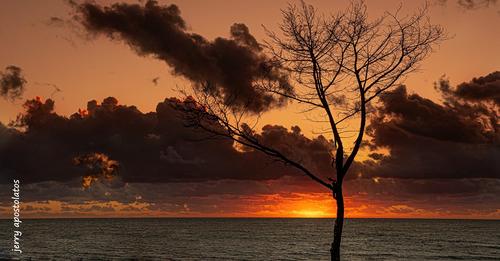Η αβάσταχτη πολιτική μοναξιά του κ. Θεόφιλου Μιχαλάτου