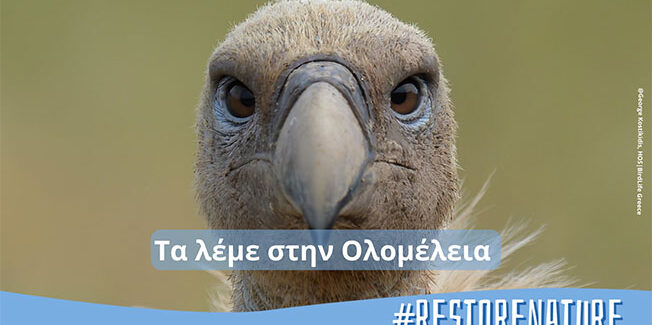 1.000.000 πολίτες προς Ευρωβουλή: φέρτε μας πίσω τη Φύση!