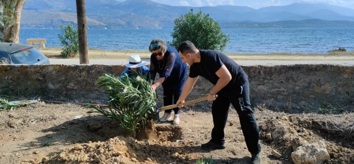 «Δενδροφύτευση στον «ΥΠΕΡΙΩΝ».