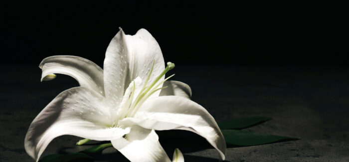 Συλλυπητήριο Μήνυμα για την απώλεια του Άγγελου Μαρκέτου