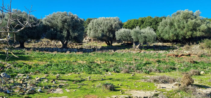 Μετρώντας τις σταγόνες της βροχής