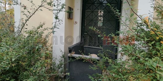 Πλήρης εγκατάλειψη του Μουσείου Φυσικής Ιστορίας.