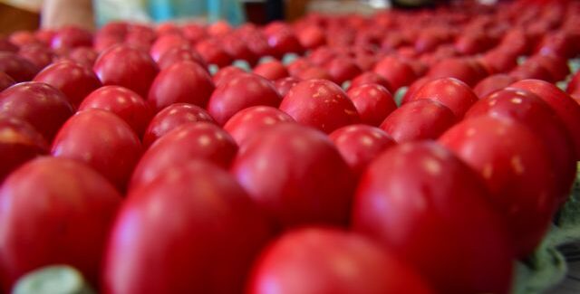 «Πρόγραμμα Εκδηλώσεων Δήμου Ληξουρίου»