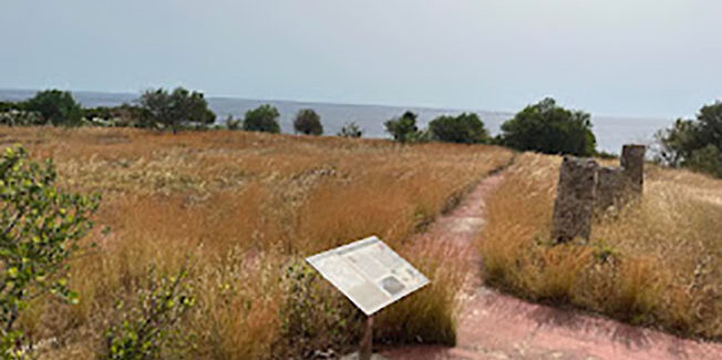 Ο Δήμος να ξεκινήσει την διαδικασία να επιβληθεί πρόστιμο στην κ. Μενδώνη