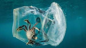 Η  θαλάσσια ζωή κινδυνεύει εξαιτίας της ρύπανσης από πλαστικό.