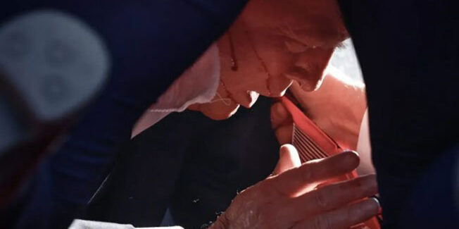 Μισό αυτί έναντι δεκάδων χιλιάδων νεκρών…