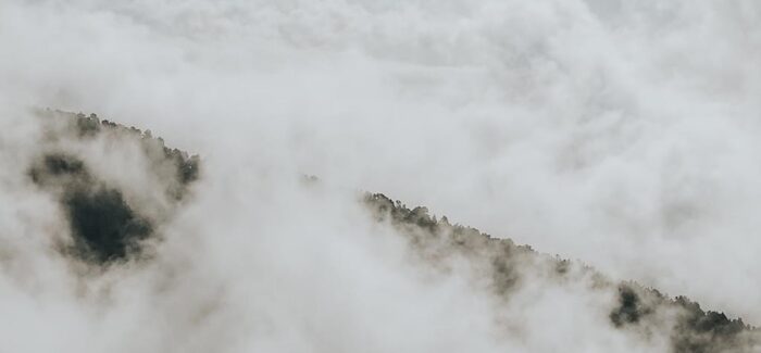 Δήλωση συμμετοχής στην πεζοπορία στον Εθνικό Δρυμό Αίνου στο  πλαίσιο του 2nd Stay Active Kefalonia 2024.