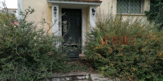 Μουσείο Φυσικής Ιστορίας (Άλλη μια φορά)