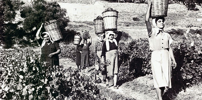 Τον καιρό της σταφίδας…..