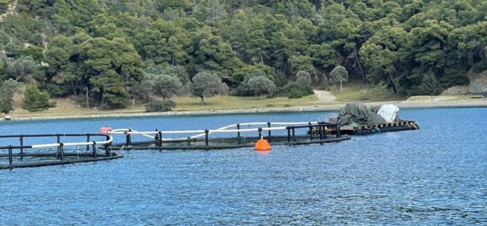 Ιχθυοκαλλιέργειες: Στην Ελλάδα οι πιο “χαλαροί” οικολογικοί κανόνες