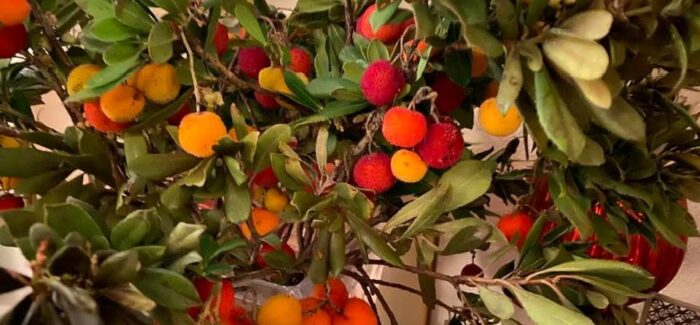 ΣΎΛΛΟΓΟΣ ΠΟΛΙΤΙΚΏΝ ΣΥΝΤΑΞΙΟΎΧΩΝ ΝΟΜΟΎ ΚΕΦΑΛΛΗΝΊΑΣ – ΧΡΟΝΙΑ ΠΟΛΛΑ
