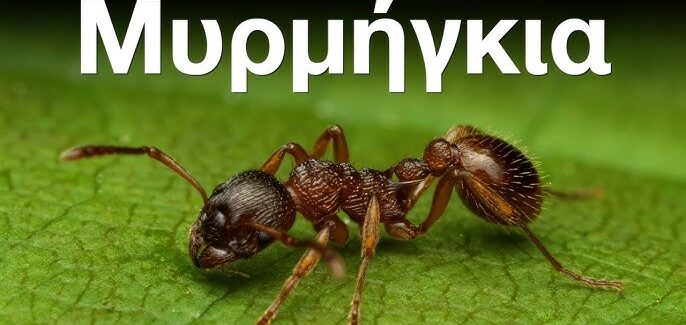 Διαρκής επαλήθευσή μας…