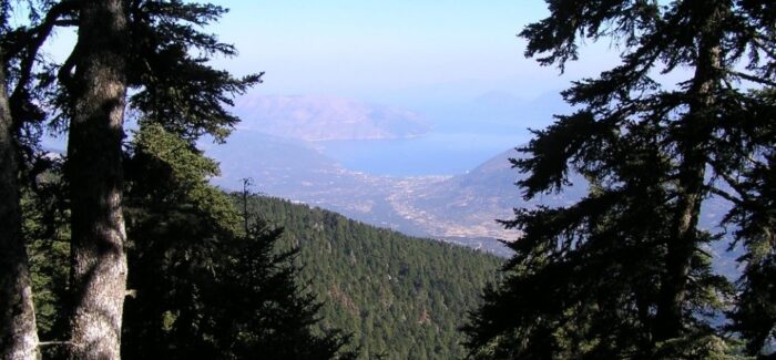 Απαγόρευση κυκλοφορίας οχημάτων και εκδρομέων στον Εθνικό Δρυμό Αίνου