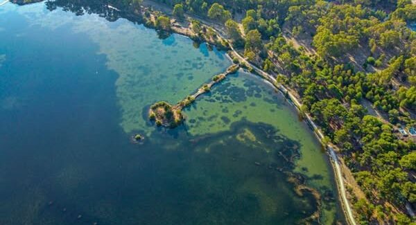 ΚΟΥΤΑΒΟΣ.. Απιστία στην φύση…