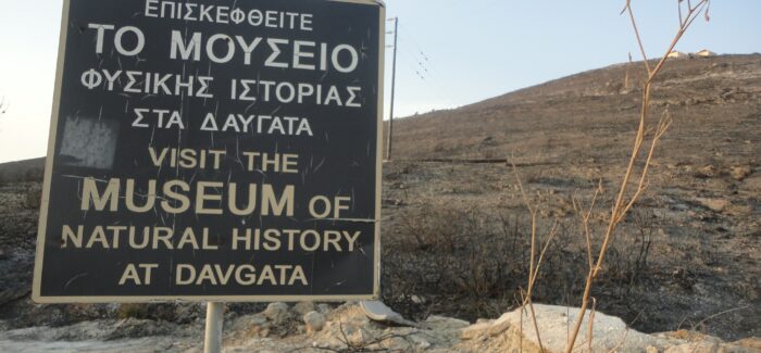 Μουσείο Δαυγάτων