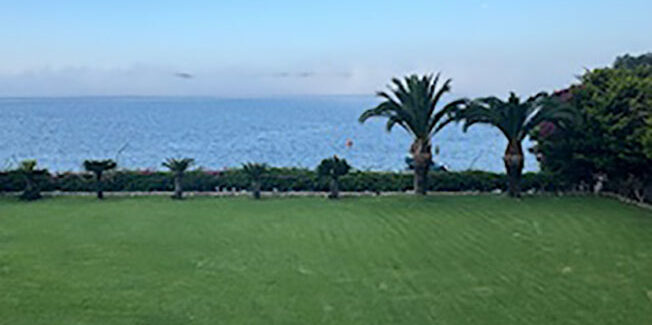 Απόκοσμο θέαμα που προκαλεί θλίψη και μόνο θλίψη.