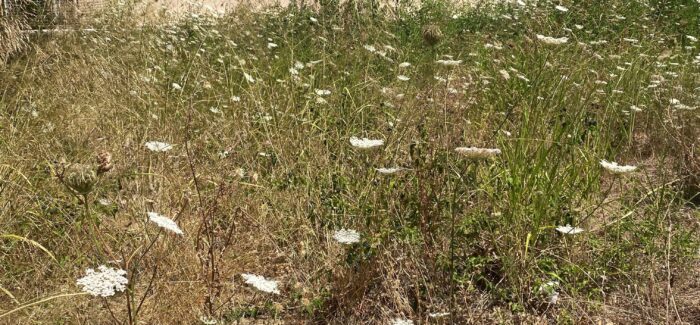 Ακαθάριστο!!!