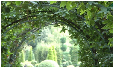 Η απαξίωση του πρασίνου στην πόλη του Αργοστολίου