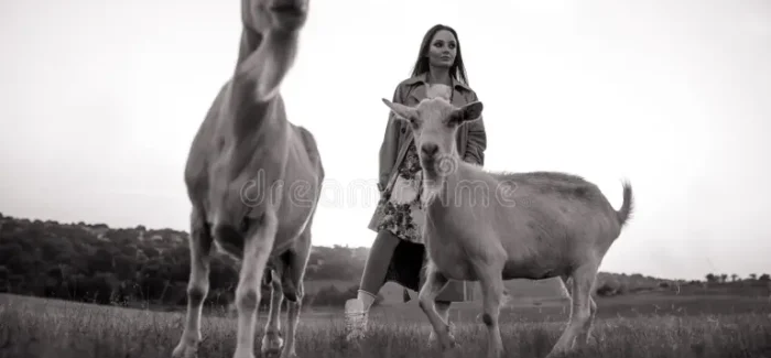 Υπήρχαν βοσκοί πάντοτε σ’ αυτή τη χώρα.