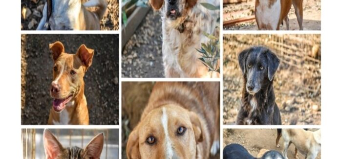 Όταν η προσφορά βρίσκει εχθρούς