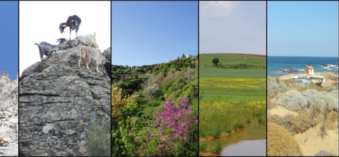 Tρεις ουρές για μια ζακέτα-Πέντε ζωές για ένα κουτί φυσίγγια