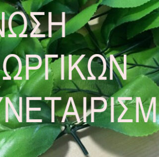 Υποστηρίζοντας τους συμπατριώτες  παραγωγούς λαϊκών αγορών