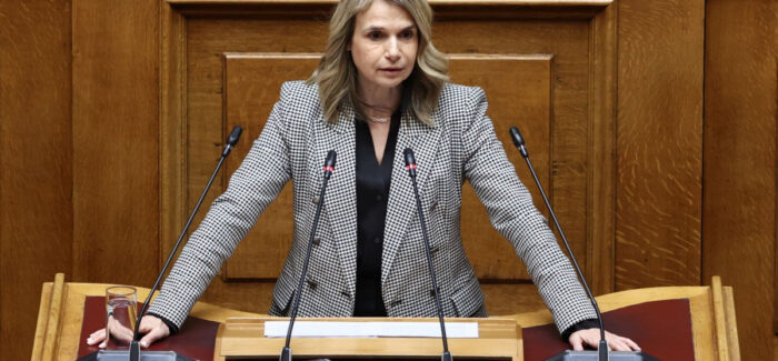 ΠΟΛΙΤΙΚΗ ΕΚΔΗΛΩΣΗ & ΚΟΠΗ ΠΙΤΑΣ